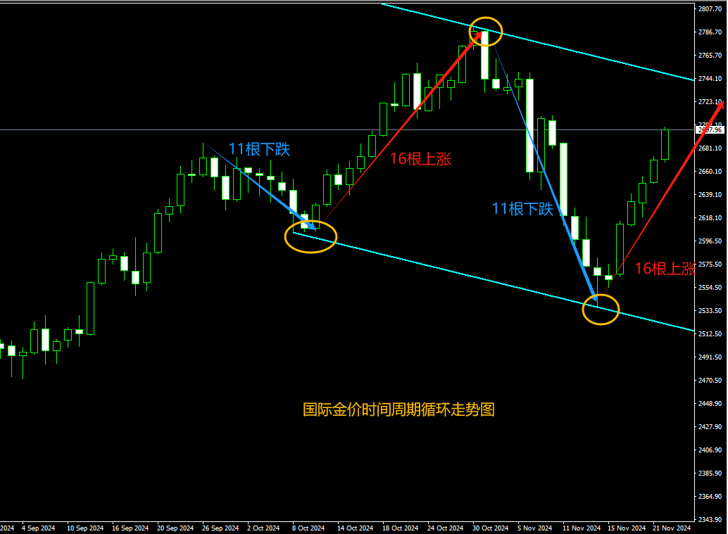 2024年11月29日:薛晓庆：挨打要立正，可能黄金确实是“倒车拉人”